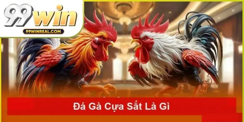 da-ga-cua-sat-01