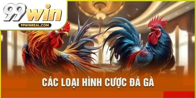 da-ga-cua-sat-02